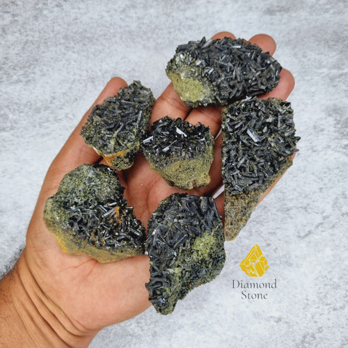 راف اپیدوت سایز 2