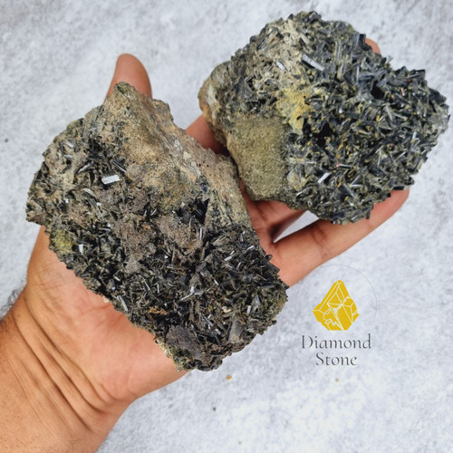 راف اپیدوت سایز 7 (کلکسیونی)